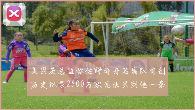 美因茨总监称佐野海舟若离队将创历史纪录2500万欧无法买到他一条腿